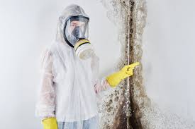 Why You Should Choose Our Mold Remediation Services in Ellaville, GA